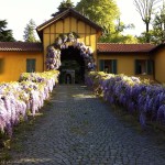 Cottage Facade small