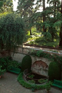 DSC_0027 cortile copy