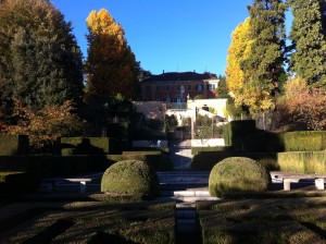 IMG_0151
